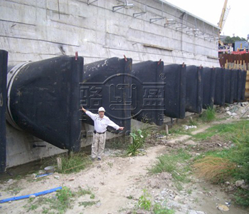 浙江省湖州南潯區鴨嘴閥在西班牙案例